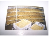 Vendo Fábrica de Tortillas en Panamá - Distrito Capital - Caracas