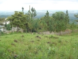 Vendo Terrenos en Cerro Azul