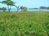 LOTES CON PLAYA EN EL CARIBE