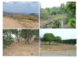 LOTES BARATOS 