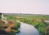 Compre campo productivo (finca) en Argentina !