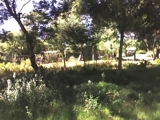 VENDO TERRENO EN MARINDIA