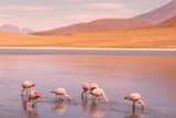 Tours en Bolivia 
