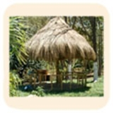 Villas en Playa Avellana