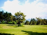 GANGA VENDO FINCA DE 14 HECTAREAS  CON CASA EN SANJERONIMO DE MORAVIA