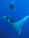Cursos de buceo tecnico en mexico