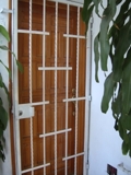 Suc40029_thumb
