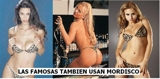LENCERIA SEXY MORDISCO