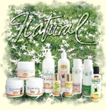COSMETICOS NATURALES A BASE DE ALOE VERA - Santander - Bucaramanga