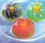 Aprende a elaborar gelatinas artisticas, 3D + 105 recetas de postres