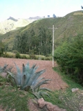CUSCO - PERU : VALLE SAGRADO DE LOS INKAS, VENDO TERRENO 3,000 m2 PROPIETARIO VENDE DE OCASION - Cusco - Cusco