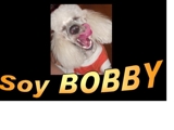 Bobby_thumb