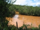 Fazenda MG-238ha - R$ 250.000,00