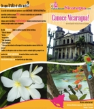 Brochure_thumb