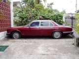 JAGUAR 1982