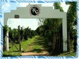 Hacienda con 135 Tareas y una Casa