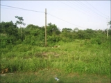 SE VENDE TERRENO EN CAUCEL,YUCATAN