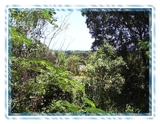 Terreno con la mirada de mar en Sosua en Venta