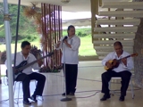 Musica para todos los gustos