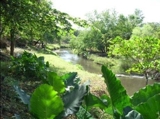 Tenemos para usted fincas, Quintas, Casas y Terrenos en Matagalpa y toda la zona norte de Nicaragua
