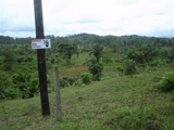 CARIBBEAN BEACH/FRONT LAND IN COLON- COSTA ABAJO
