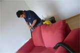 Lavamos y desinfectamos tus muebles tapizados, alfombras, colchones, vestiduras de autos y mas... - Distrito Federal - Ciudad de México