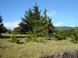 Vendo lotes, terrenos y fincas en Costa Rica : Santa Ana, Ciudad Colon y Escazu - Venta de terrenos - San José - Alajuela