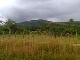 GANGA EN MONTAÑAS DE CALDERA!!! - Chiriquí - David