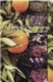 Os Alimentos que curam-Livro