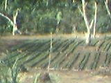 Venta de Finca de doble propósito