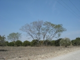 OPORTUNIDAD - PREVENTA LOTES CAMPESTRES, ALLENDE/EL FRAILE, N.L.