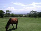 Vendo lotes, terrenos y fincas en Costa Rica : Santa Ana, Ciudad Colon y Escazu - New York - New York