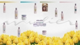 Productos dominicanos para el cabello - Panamá - Ciudad de Panamá
