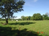 SE VENDE FINCA CON CASA