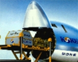 ADUANAS Y CARGA EXPRESS U.S.A. A VENEZUELA: MAIQUETIA, LA GUAIRA, VALENCIA, PUERTO CABELLO, GUANTA, MARACAIBO.