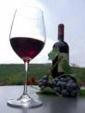 RUTA DEL VINO