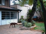 GRANJA EN LA CERCANIAS DE ASUNCION - Asunción - Asunción
