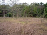 Se vende terreno en Arraiján 48,000 m2, luz, agua, fácil acceso, a solo 3Km de la Carretera Interamericana - Panamá - Ciudad de Panamá