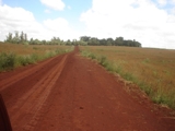 VENDO FAZENDA NO NORTEDO PARANÁ  BRASIL
