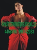 despedidas solteras piso 14 strippers cueros