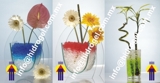 Hidrogel Aplicado a Pastos, Plantas, Viveros, Invernaderos, Agricultura, Decorativo, Refrigerante