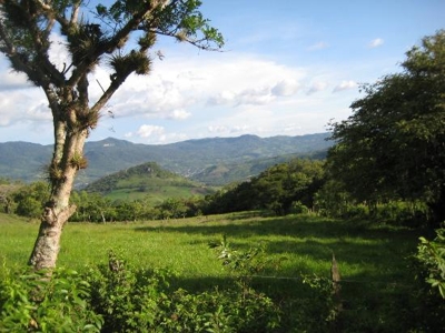 Busca Propiedades en Nicaragua, zona Norte. - Matagalpa - Matagalpa