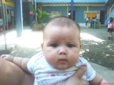 Dsc00384_thumb