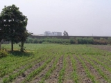 TERRENO INDUSTRIAL 8640 m2 AV. G.UNGER - COMAS
