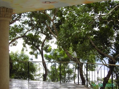 VENDO PROPIEDAD PROPIA PARA RESTAURANTE Y EVENTOS EN NICARAGUA