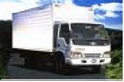 TRANSPORTE DE CARGA, MERCANCIA Y MUDANZAS para el sector empresarial y domestico