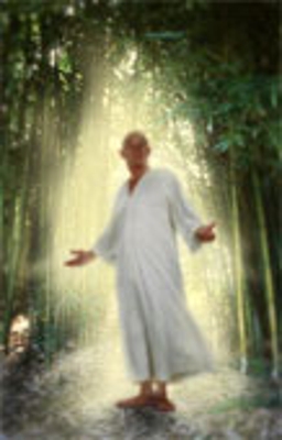 GRANDE PODER!!!! MESTRE DA LUZ !!!