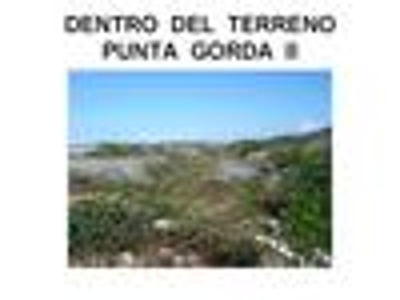 VENDO TERRENO SECTOR EL POTRERO MUNICIPIO MANEIRO 