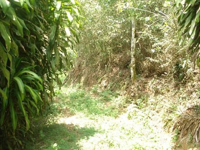 VENTA TERRENO CON 2 CHALLETS Y 1 CABAÑA, SAN RAMON ALAJUELA