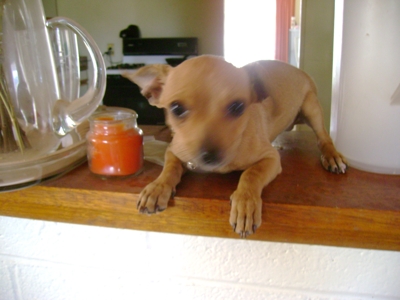 Dsc00299_thumb